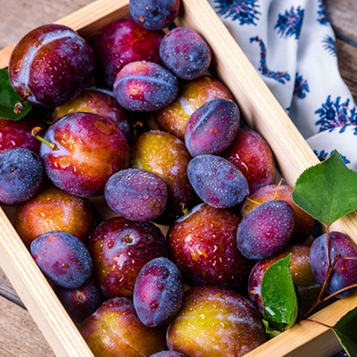 新疆喀什西梅4斤